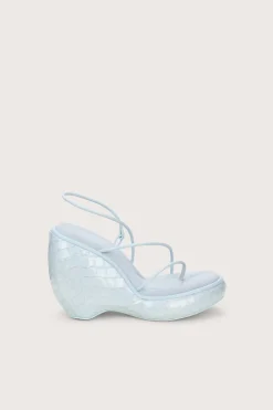 DENALI WEDGE - MARINE