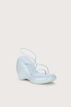 DENALI WEDGE - MARINE