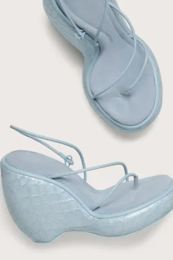 DENALI WEDGE - MARINE