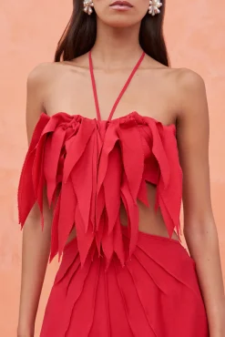 LUE DRESS - LOLLIPOP